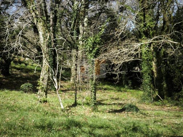 Terreno en Venta en Cangas