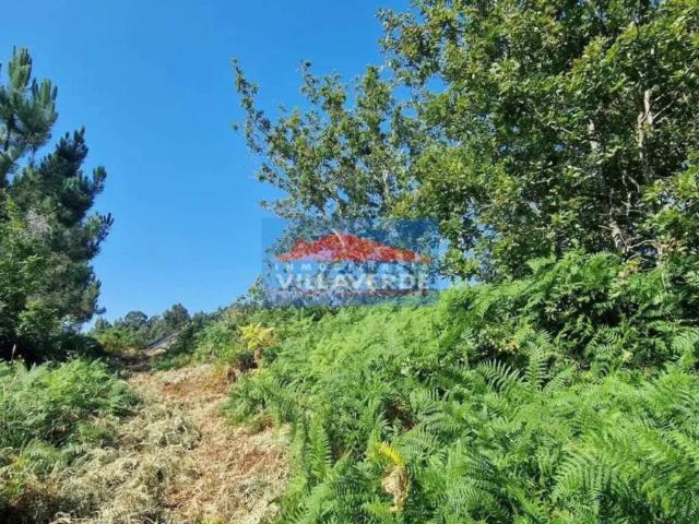 Terreno en Venta en Cangas