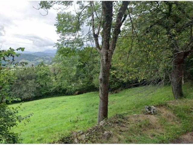 Terreno en Venta en Cangas de Onís