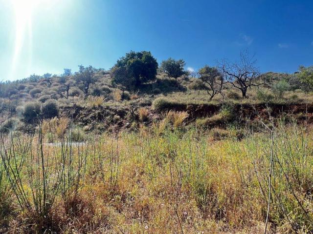 Terreno en Venta en Canillas de Aceituno