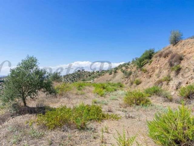 Terreno en Venta en Canillas de Albaida