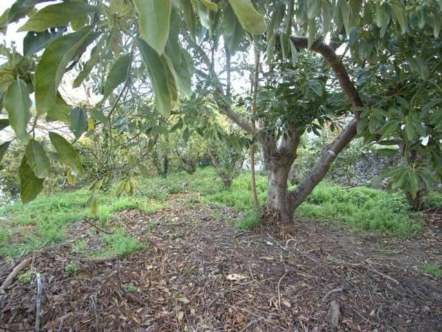 Terreno en Venta en Canillas de Albaida