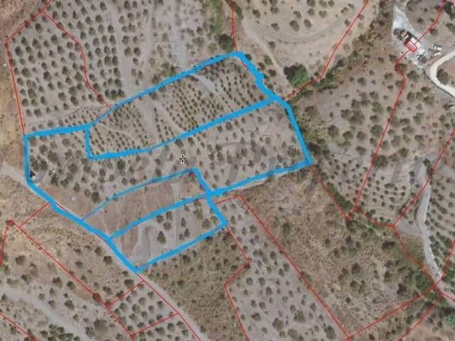 Terreno en Venta en Canillas de Albaida