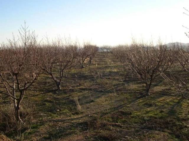 Terreno en Venta en Canillas de Albaida