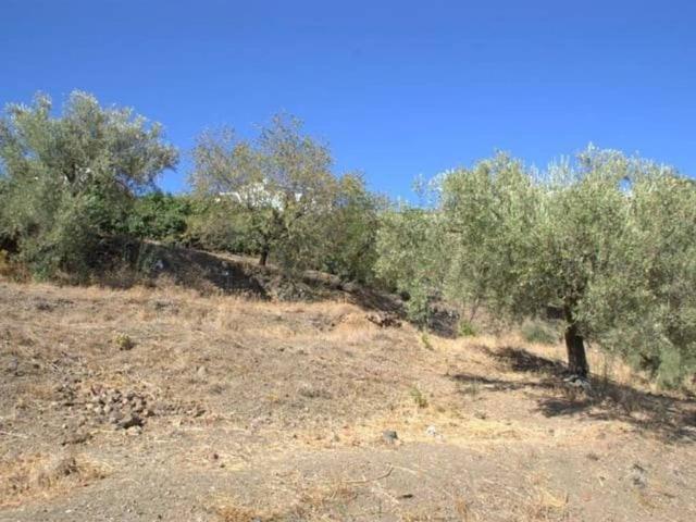 Terreno en Venta en Canillas de Albaida