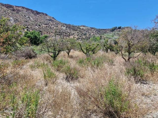 Terreno en Venta en Canjáyar