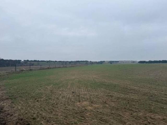 Terreno en Venta en Cantalapiedra