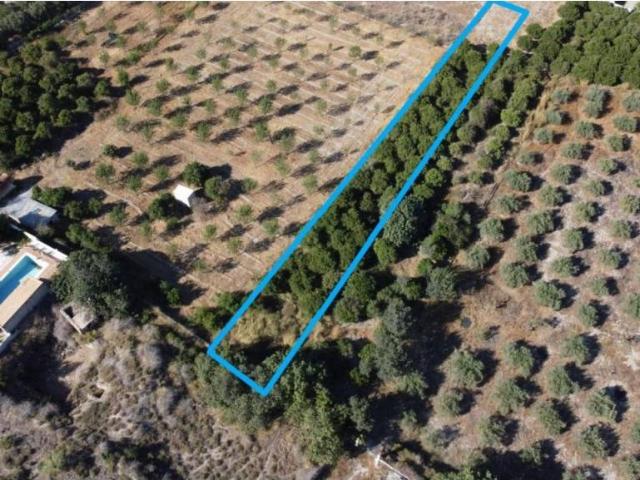 Terreno en Venta en Cantoria