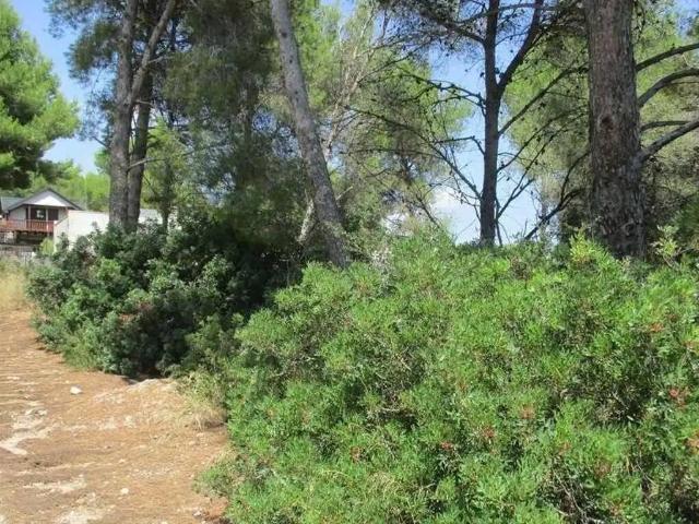 Terreno en Venta en Canyelles