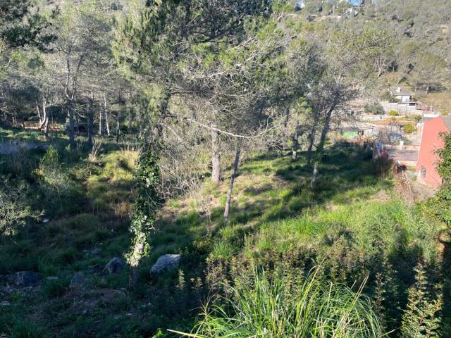 Terreno en venta en Canyelles Vora sitges