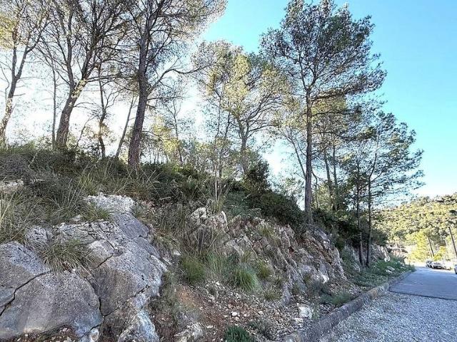 Terreno en venta en Canyelles, de 600 m² por 35.000