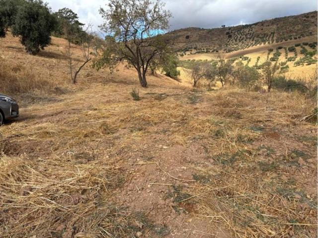 Terreno en Venta en Casabermeja