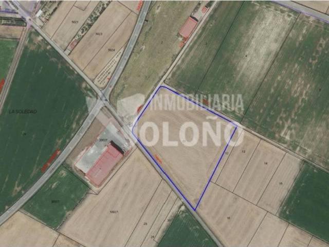 Terreno en Venta en Casalarreina