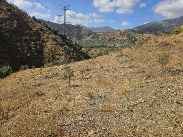 Terreno en Venta en Casarabonela