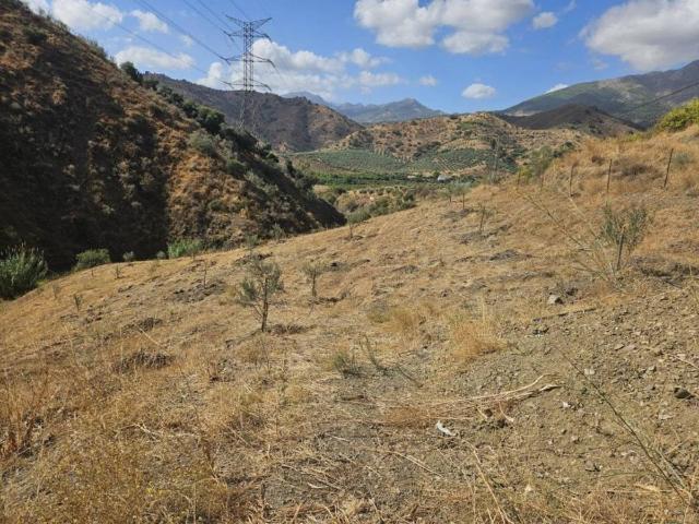 Terreno en Venta en Casarabonela