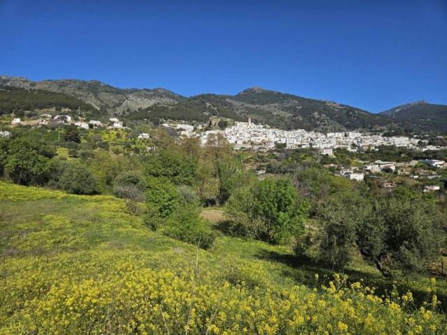 Terreno en Venta en Casarabonela