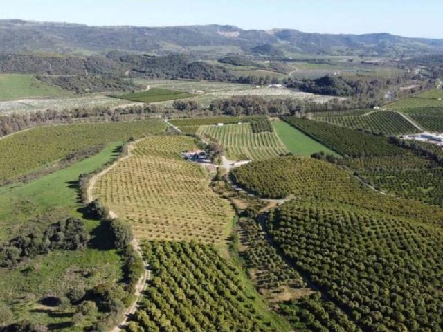 Terreno en Venta en Casares