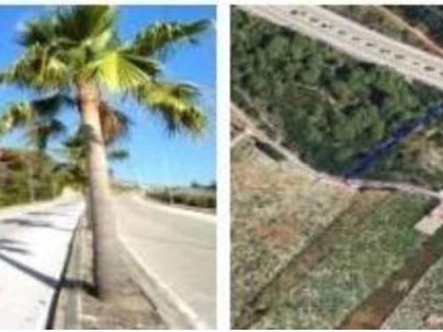 Terreno en Venta en Casares