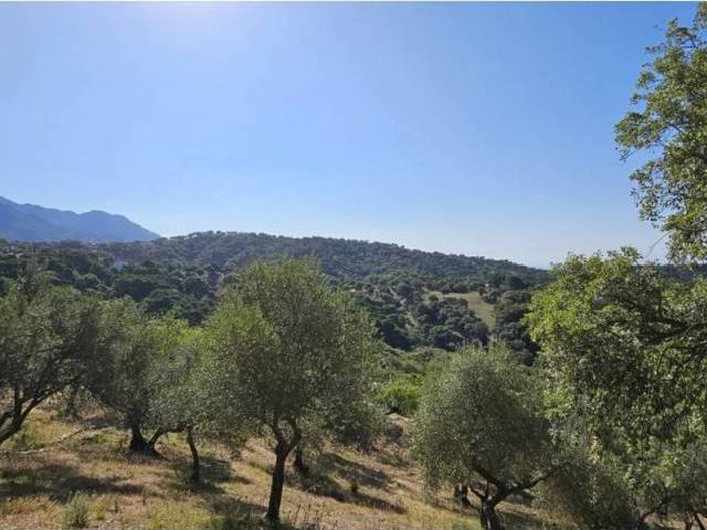 Terreno en Venta en Casares