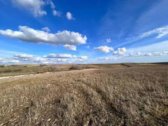 Terreno en Venta en Casarrubios del Monte