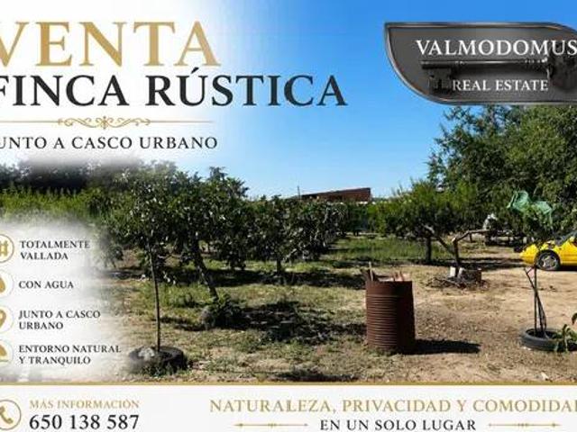 Terreno en Venta en Casarrubios del Monte