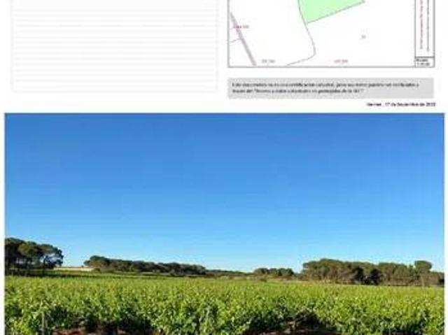 Terreno en Venta en Casas Ibáñez