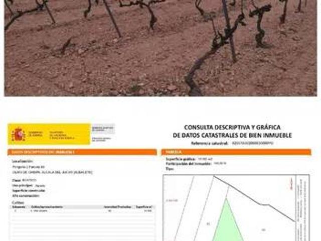Terreno en Venta en Casas Ibáñez