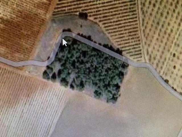 Terreno en venta en Casas Ibáñez, La ceja