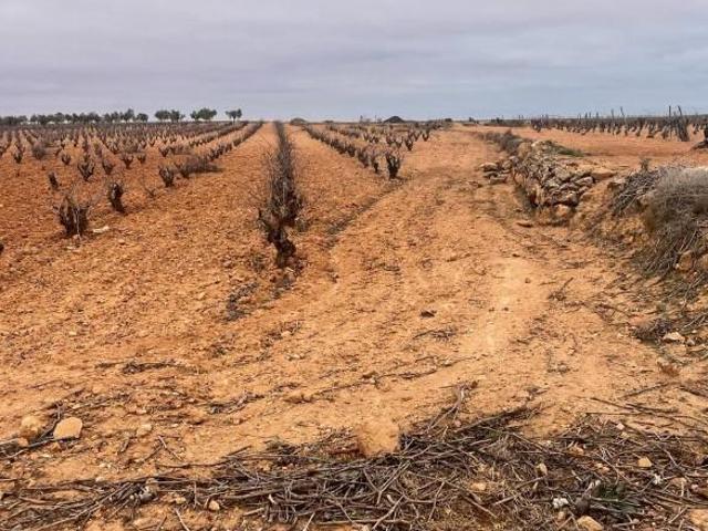 Terreno en venta en Casas Ibáñez, Semicentro