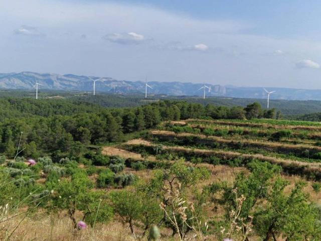 Terreno en Venta en Caseres