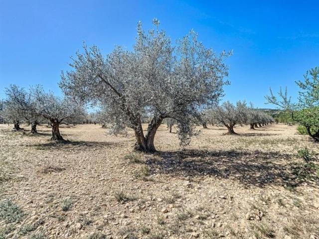 Terreno en venta en Castalla, Ginets