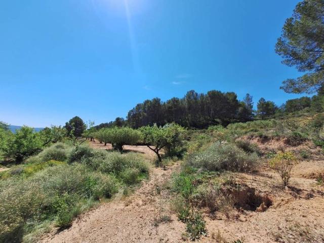 Terreno en Venta en Castalla