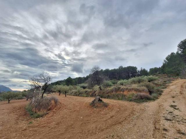 Terreno en Venta en Castalla