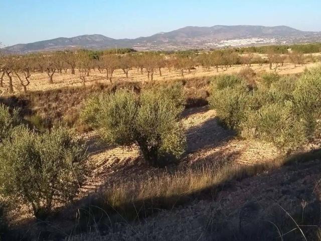 Terreno en Venta en Castalla