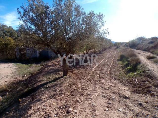 Terreno en Venta en Castalla