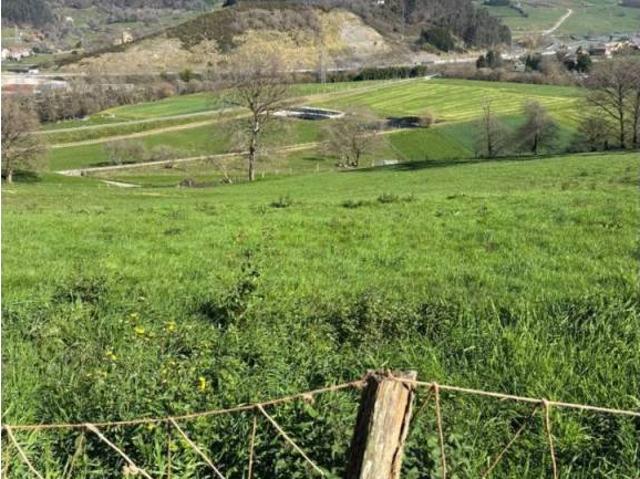 Terreno en Venta en Castañeda