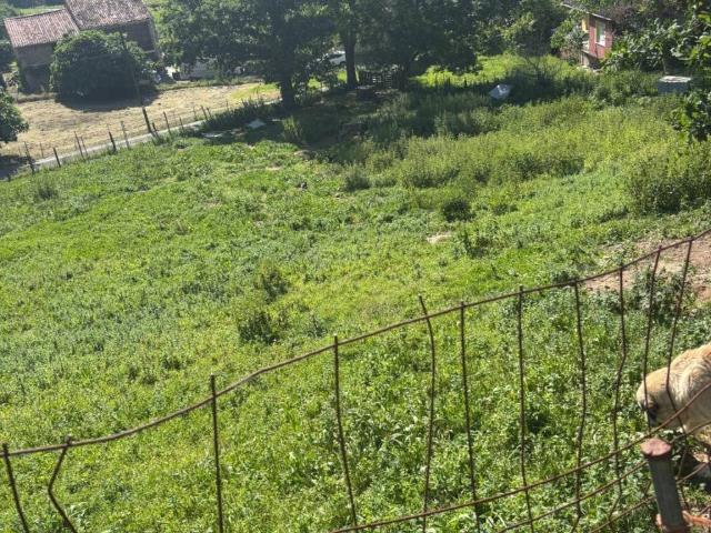 Terreno en Venta en Castañeda