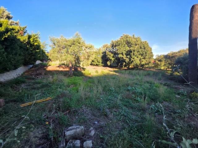 Terreno en venta en Castellvell del Camp, Castellmoster