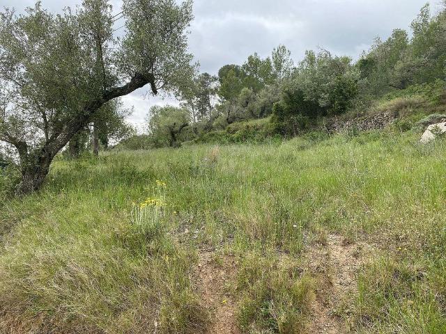 Terreno en venta en Castellvell del Camp, de 4.691 m² por 71.900