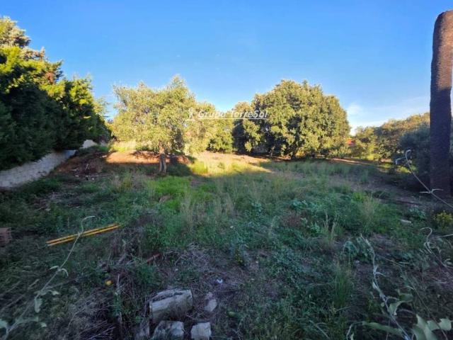 Terreno en Venta en Castellvell del Camp