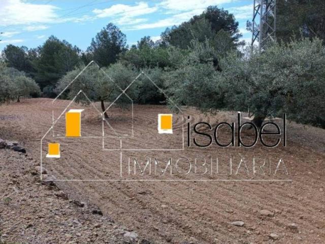 Terreno en Venta en Castellvell del Camp
