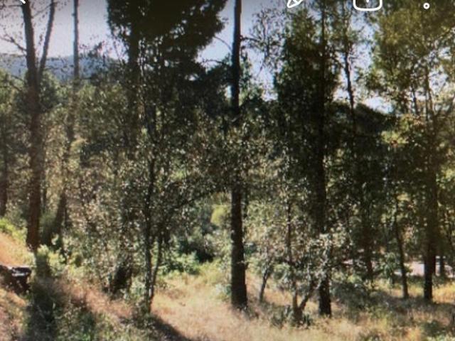 Terreno en venta en Castellví de Rosanes, EL TAIO