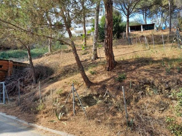 Terreno en Venta en Castellví de Rosanes