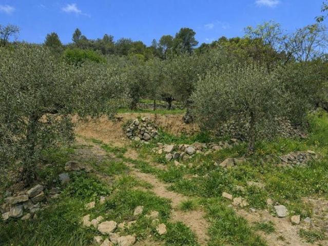 Terreno en venta en Castell de Castells, Comunidad valenciana