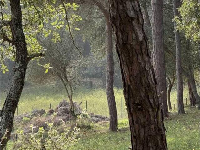 Terreno en Venta en Castell Platja d'Aro