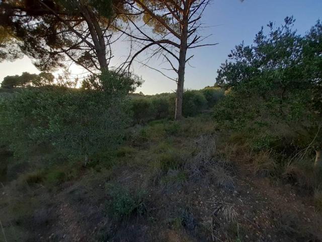 Terreno en Venta en Castellbisbal