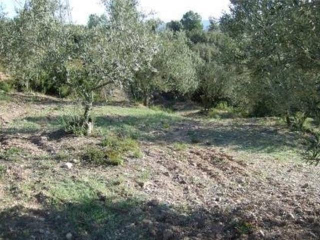 Terreno en Venta en Castellbisbal
