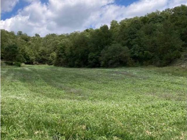 Terreno en Venta en Castellcir