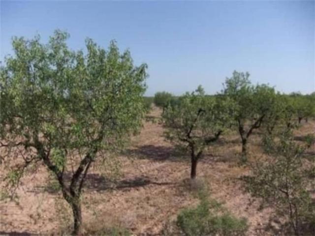 Terreno en Venta en Castelldans