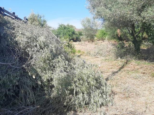 Terreno en Venta en Castellet i la Gornal